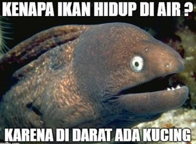 Tebak, Kenapa Ikan Hidup di Air?