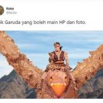 6 Meme Larangan Foto dari Garuda Ini Bikin Senyum Kecut