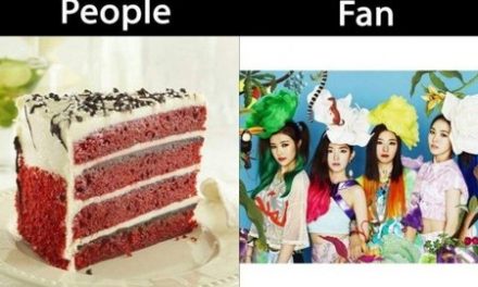 10 Meme Kocak Perbedaan KPopers dan Non KPopers