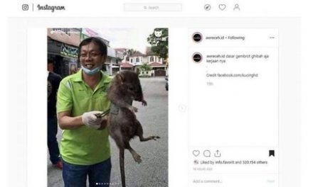 Ditemukan Tikus Jumbo, Warganet Malah Buat Meme Kocak Kepanikan Kucing