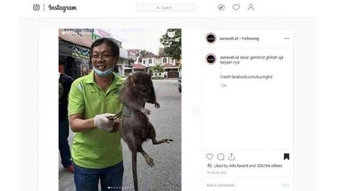 Ditemukan Tikus Jumbo, Warganet Malah Buat Meme Kocak Kepanikan Kucing