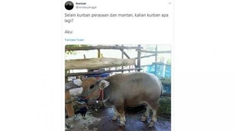 10 Meme Kocak Sambut Idul Adha 2019 , Gokil dan Bikin Ngakak!