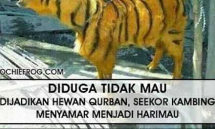 5 Meme Kurban ini Lucunya Bikin Lupa Makan Daging