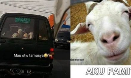 14 Meme bertema kurban ini kocak dan bikin baper