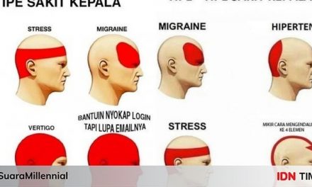 10 Meme Lucu Tipe-tipe Sakit Kepala, Bikin Senyum Sendiri