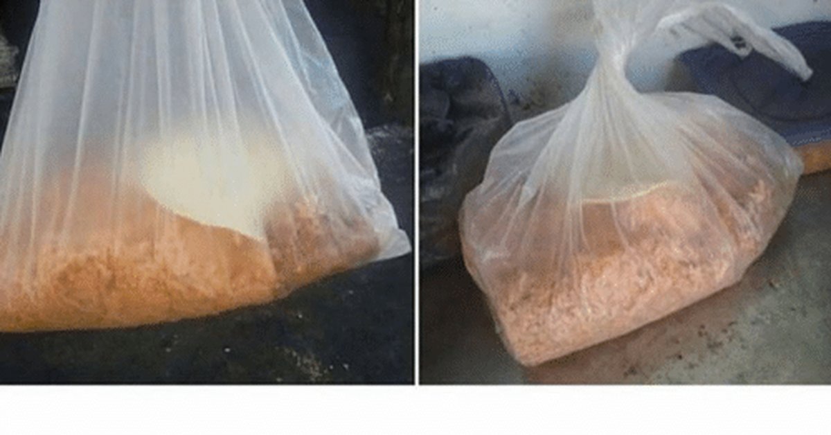 Meme Tupperware, Gambaran Murka nan Lucu Ibu-ibu yang Tupperwarenya Hilang