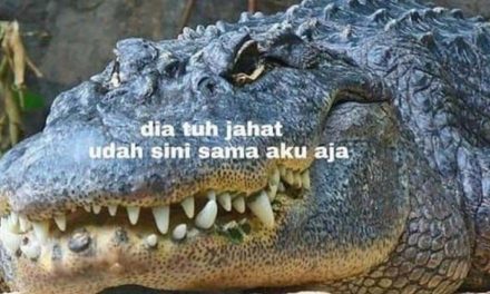 5 Meme ‘Ucapan Buaya Darat’ ini Kocaknya Nyindir dan Bikin Waspada