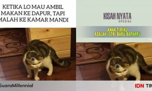 10 Meme Telat Mikir Bikin Bingung Sambil Cekikikan