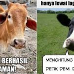 10 Meme lucu ‘perasaan sapi’ jelang Idul Adha ini bikin senyum tipis