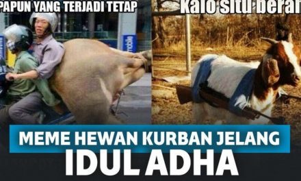 Bakal Disembelih Jelang Idul Adha, 13 Meme Hewan Kurban Ini Bikin Sedih Sekaligus Ngakak