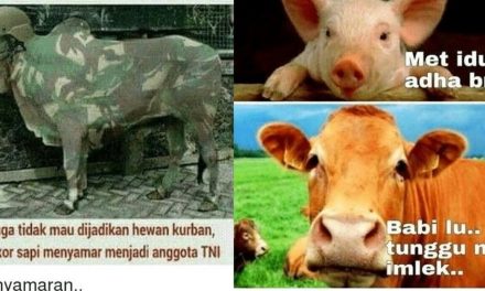 10 Meme Kocak Perasaan Sapi Saat Idul Adha Ini Bakalan Bikin Kamu Kasian Tapi Ngakak!