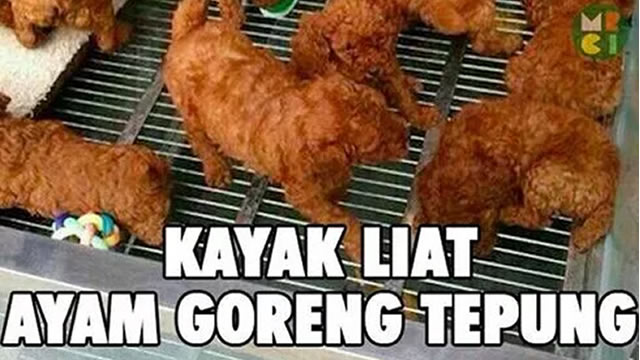 15 Meme Lucu Penglihatan Orang Puasa ini Bikin Ngakak