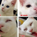 10 Meme OTW ala Orang Indonesia ini Bikin Nyengir KZL