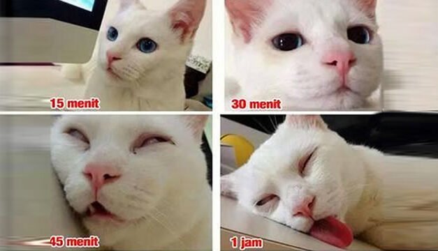 10 Meme OTW ala Orang Indonesia ini Bikin Nyengir KZL